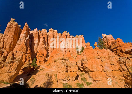 eroded rock formations, hoodoos, in Bryce Canyon, USA, Utah, Bryce Canyon National Park, Colorado Plateau Stock Photo