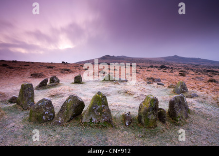 Stone circle cairn on Dartmoor, known as both the Nine Maidens and the Seventeen Brothers, Belstone Common, Dartmoor Stock Photo