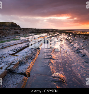 Horiztonal rock strata on Kilve Beach on the North Somerset coast, England. Spring (May) 2009 Stock Photo