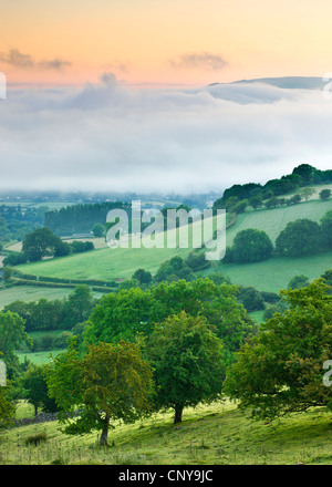 Mist hangs low in a valley at dawn, Brecon Beacons National Park, Powys, Wales. Summer (June) 2009 Stock Photo