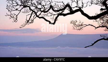 Mynydd Troed mountain rising above a mist filled valley at dawn, Brecon Beacons, Powys, Wales, UK. Spring 2010. Stock Photo
