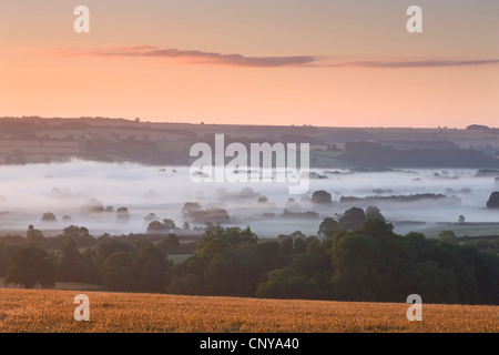 Mist covered Cotswolds countryside near Bourton on the Water, Gloucestershire, England. Summer 2011 Stock Photo