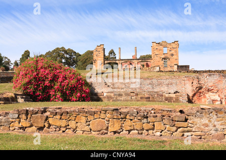 The ruins of the hospital at Port Arthur Penitentiary, Tasmania, Australia. Stock Photo