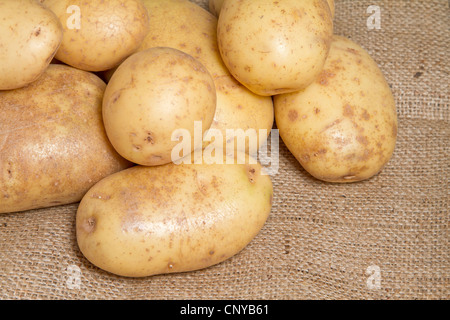 Potatoes on hessian sack background Stock Photo