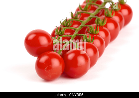 Cherry tomatoes isolated on white background Stock Photo