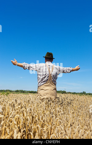 bread wheat, cultivated wheat (Triticum aestivum), farmer standing in his mature wheat contently spreading his arms, Germany Stock Photo