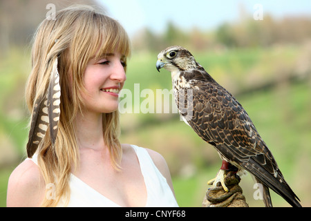 Saker falcon (Falco cherrug), on the arm of a young woman Stock Photo