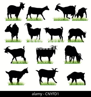 Goats Silhouettes Set Stock Photo