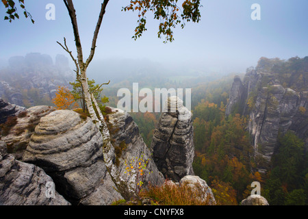Bastei rock formation in morning fog, Germany, Saxony, Saxon Switzerland National Park Stock Photo