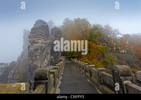 Bastei rock formation and Bastei bridge in morning fog, Germany, Saxony, Saxon Switzerland National Park Stock Photo