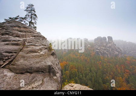 Bastei rock formation near Rathen, Germany, Saxony, Saxon Switzerland National Park Stock Photo