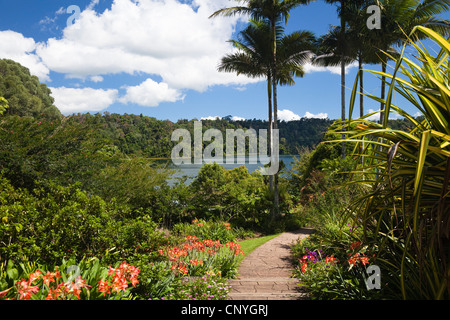 Lake Barrine, Australia, Queensland, Atherton Tablelands, Crater Lakes National Park Stock Photo