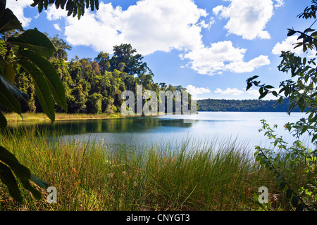 Lake Barrine, Australia, Queensland, Atherton Tablelands, Crater Lakes National Park Stock Photo