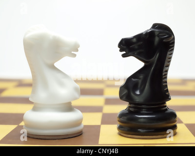 Black and white chess knights standing face to face over white background Stock Photo