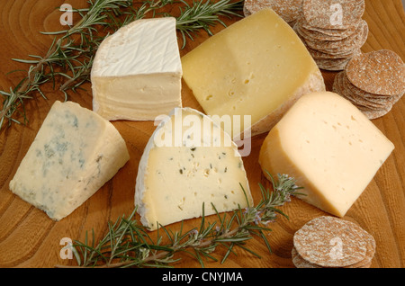 A selection of west country cheeses from the west of England UK Stock Photo