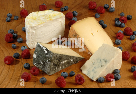 A selection of west country cheeses from the west of England UK Stock Photo