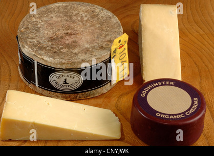 A selection of west country cheeses from the west of England UK Stock Photo