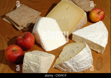 A selection of west country cheeses from the west of England UK Stock Photo