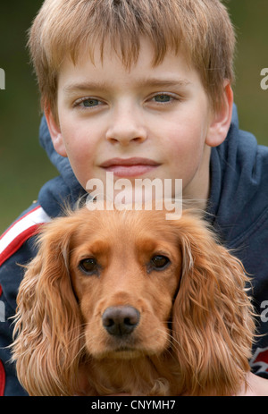 English Cocker Spaniel (Canis lupus f. familiaris), portrait of a young boy and his dog Stock Photo
