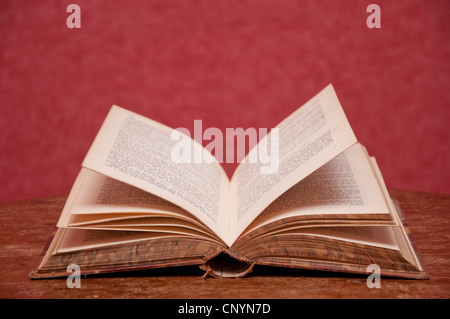 Old antique book with open pages. Stock Photo