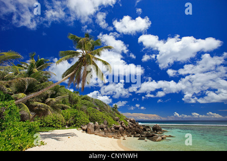 idyllic dream beach, Seychelles Stock Photo