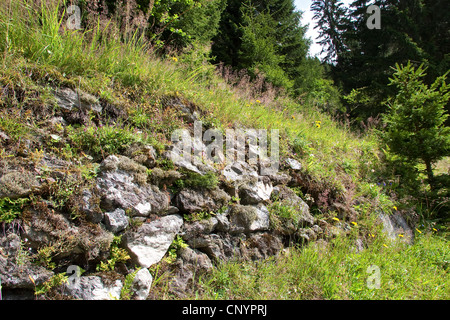 Natural stone wall, Germany Stock Photo