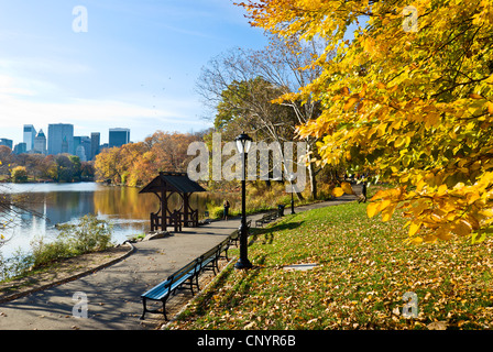 Central Park Autumn Leaves, The Lake New York City in Fall Stock Photo