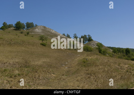 calcareous grasslands on spouth exposed slopes of Kyffhaeuer mountain, Germany, Thuringia, Kyffhaeuser, Steinthaleben Stock Photo