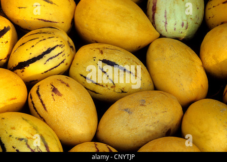 Pepino, Melon pear (Solanum muricatum), pepinos on a market Stock Photo