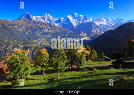 view from Sulwald (1594 m) over the Lauterbrunnental at the three mountains Ogre (Eiger, 3970 m), Monk (Moench, 4107 m) and Virgin (Jungfrau, 4158 m) dominating the Bernese Oberland, Switzerland, Bernese Oberland Stock Photo