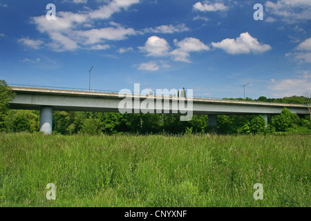 Theodor Heuss bridge over FFH area Heisinger Ruhraue, Germany, North Rhine-Westphalia, Ruhr Area, Essen Stock Photo