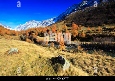 Valley Loetschental With Lonza River, View Of Alpine Passes 