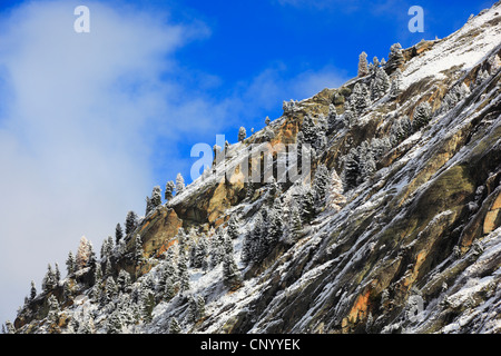 rocky slope in the Arolla Valley, Switzerland, Valais Stock Photo