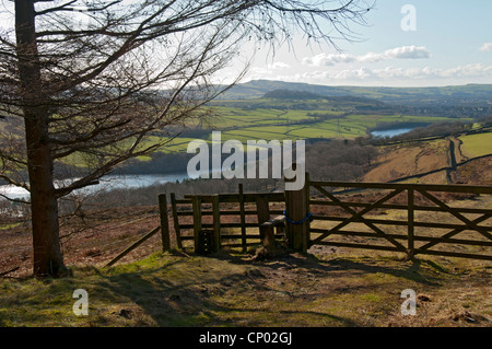 Valehouse and Bottoms reservoirs in the Longdendale Valley, Peak District, Derbyshire, England, UK Stock Photo