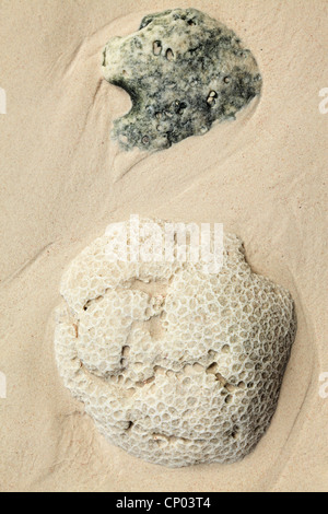 Close up of rocks on Anse Patates on La Digue in the Seychelles Stock Photo