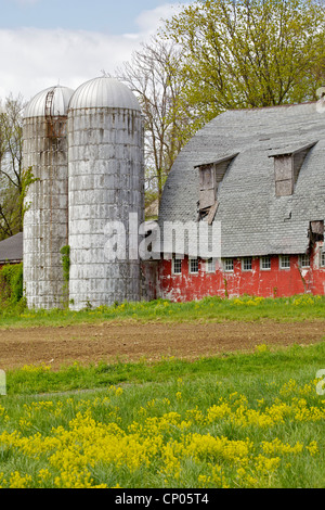 Red Barn and Grain Silo Stock Photo