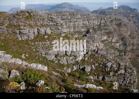 view to twelve apostles mountain range of table mountain, South Africa, Western Cape, Tafelberg, Capetown Stock Photo