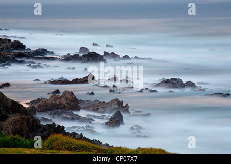 coast of Storms River Mouth in the evening, South Africa, Eastern Cape, Tsitsikamma National Park, Plettenberg Bay Stock Photo