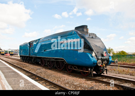 LNER Class A4 4464 Bittern Steam Engine (painted and numbered as 4492 Dominion of New Zealand) at Bristol Temple Meads station. Stock Photo