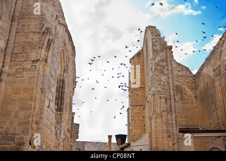 pigeons flying ver the ruin of Antonius church, Spain, Kastilien und Le�n, Burgos, San Anton Stock Photo