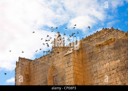 pigeons flying ver the ruin of Antonius church, Spain, Kastilien und Len, Burgos, San Anton Stock Photo