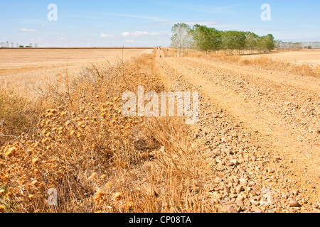 dry landscape at the Way of St James in sommer between Carrin de los Condes and Calzadilla de la Cueza, Spain, Kastilien &amp; Len, Palencia Stock Photo
