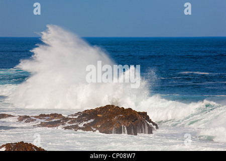 rock in the surge of waves at Storms River Mouth, South Africa, Eastern Cape, Tsitsikamma-Nationalpark, Plettenberg Bay Stock Photo