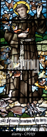 St. Francis of Assisi  - detail from a stained-glass window in St. Mary's Church, Selborne, Hampshire Stock Photo