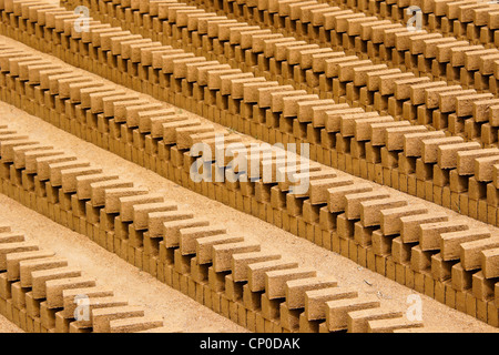 Mud bricks drying in sun, Sri Lanka Stock Photo