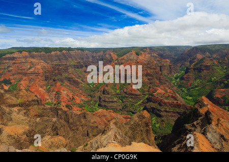 View over Waimea Canyon. Kauai, Hawaii Stock Photo
