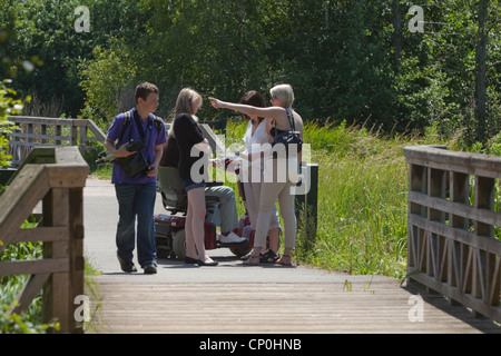 London Wetlands Centre. Barnes. A walk around the wild area of the grounds. Wildfowl and Wetlands Trust. Stock Photo