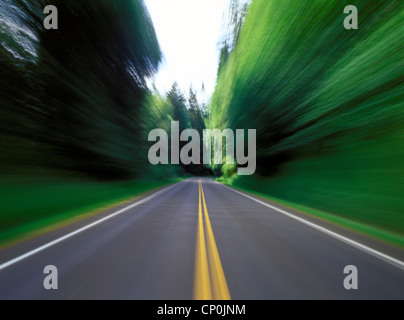 Road with blur and motion effect with a double yellow line, bordered by green trees, Olympic Peninsula, Washington state, USA Stock Photo