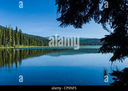 Charlton Lake, Deschutes National Forest, Cascade Mountains, Oregon. Stock Photo