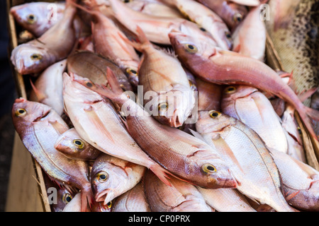 fresh fishes at market Stock Photo